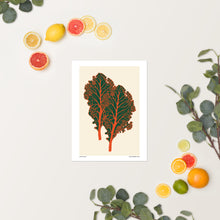 Load image into Gallery viewer, Winter Kale
