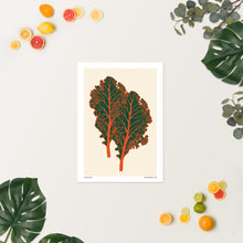 Load image into Gallery viewer, Winter Kale
